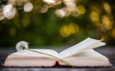 Improve Your Writing with Poetry