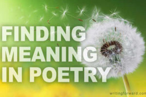 meaning in poetry