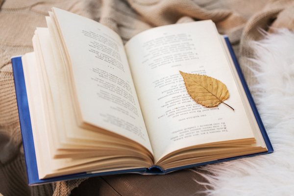 What Is Poetry Writing Forward